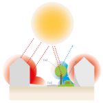 Klimaatadaptieve tuin-hittestress-wateroverlast-waterafvoer tuin-koele tuin-Toffe Tuinen-Laura Knoops