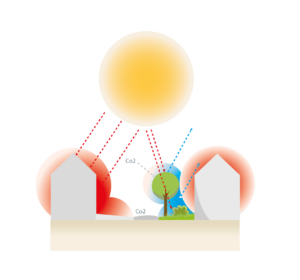Klimaatadaptieve tuin-hittestress-wateroverlast-waterafvoer tuin-koele tuin-Toffe Tuinen-Laura Knoops