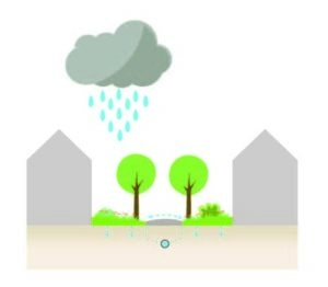 Klimaatadaptieve tuin-hittestress-wateroverlast-waterafvoer tuin-koele tuin-Toffe Tuinen-Laura Knoops