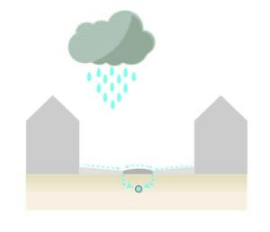 Klimaatadaptieve tuin-hittestress-wateroverlast-waterafvoer tuin-koele tuin-Toffe Tuinen-Laura Knoops