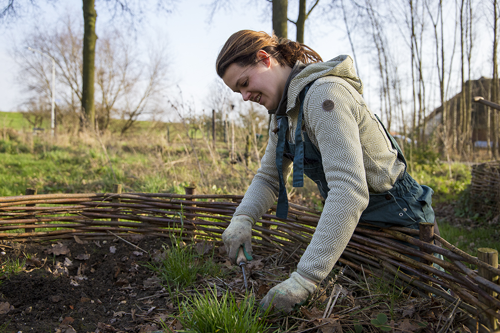 Starten met moestuinieren Starten met moestuinieren